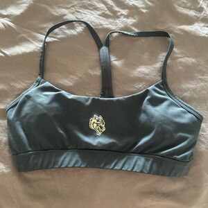 Darc Sport She Wolf Sports Bra in Grey